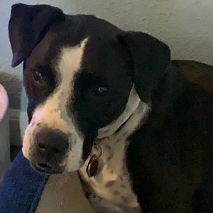 Meet your Posher, Tracie